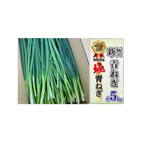 【HARUさん専用】新鮮青ねぎ 1000本 ふるさと納税 青ねぎ 5kg ネギ 葱 極上 薬味 国産 野菜 ねぎ 徳島県