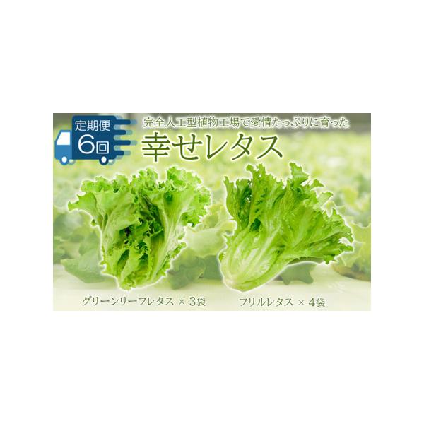 ■ 容量　グリーンリーフレタス　200g ×3袋入／箱　フリルレタス　　　　　160g ×4袋入／箱■ 配送について　入金確認後、翌月から毎月10日前後に発送　タイプ：【冷蔵】【定期】