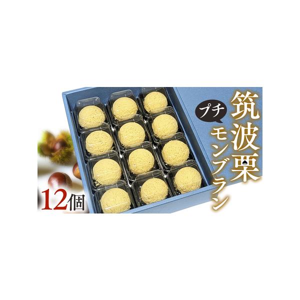 ■ 容量　【プチモンブラン】　約20g×12個入　　＜原材料＞　クリーム(乳成分)、小麦粉、卵、牛乳、てんさい糖、栗■ 配送について　入金確認後、1〜2ヵ月で発送　タイプ：【冷凍】