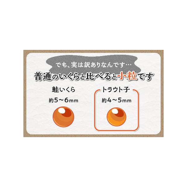 furunavi_1255756_2_d_20260319093700