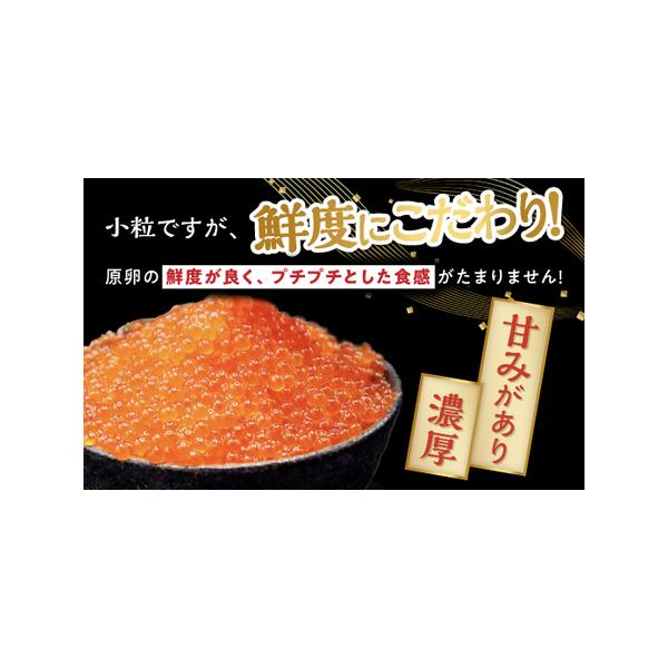 furunavi_1255756_3_d_20260319093700