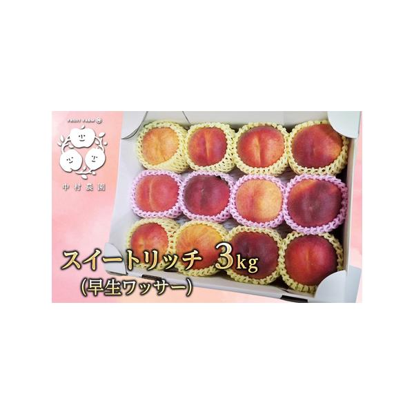 ■ 容量　スイートリッチ3kg　原産地：長野市　■ 配送について　2026年8月上旬〜8月下旬　　タイプ：【冷蔵】