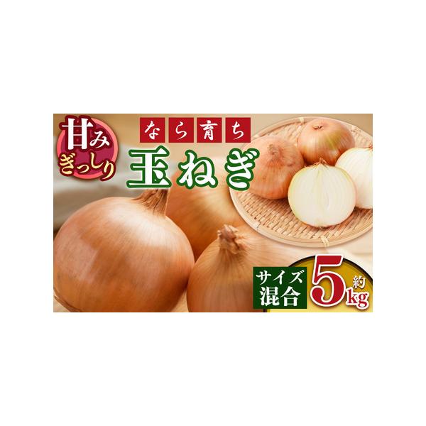 ■ 容量　約5kg■ 配送について　6月中旬〜8月中旬に発送　タイプ：【常温】