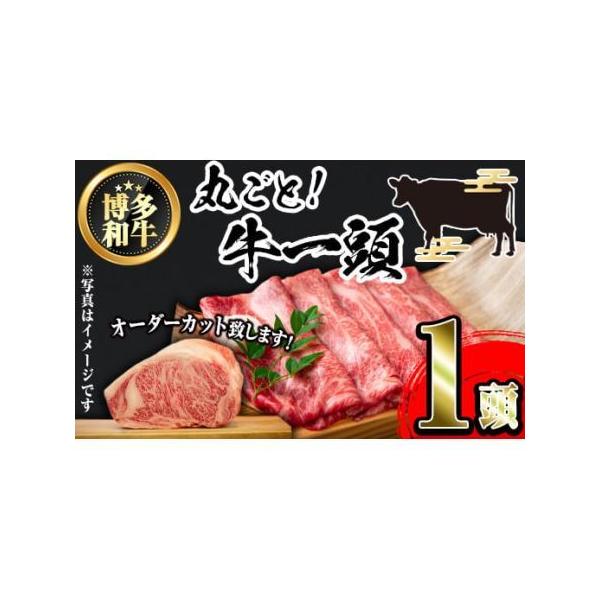 furunavi_1260964