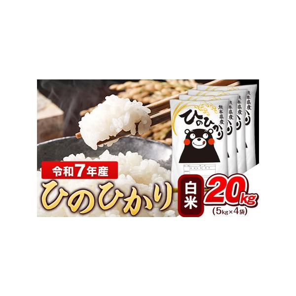 ふるさと納税 令和7年産 白米 ひのひかり 20kg《1-5日以内に出荷予定