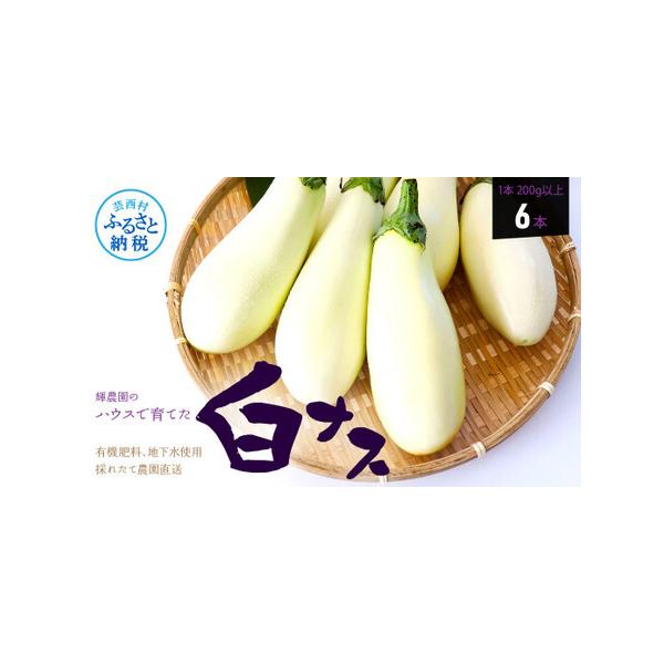 ■ 容量　【容量】　白ナス（1本180g以上）6本■ 配送について　9月中旬以降順次発送　タイプ：【常温】