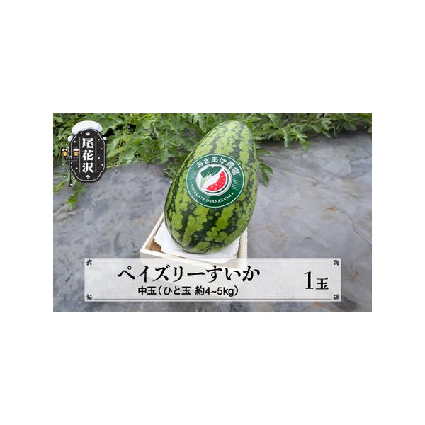 ■ 容量　ペイズリーすいか　中玉(S~M)サイズ 約4~5kg×1玉■ 配送について　令和8年7月中旬~8月中旬頃、順次発送　　※こちらの返礼品は、賞味期限の関係で、沖縄・離島への配送ができません。予めご了承ください。　※複数口申し込まれた...