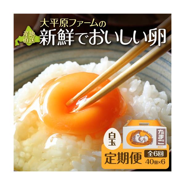 ふるさと納税 【6回定期便】大平原ファームの新鮮でおいしい卵 計40個(白卵)×6ヶ月【 北海道 清水 卵 240個 こだわり卵 卵かけご飯 玉子 タ.. 北海道清水町
