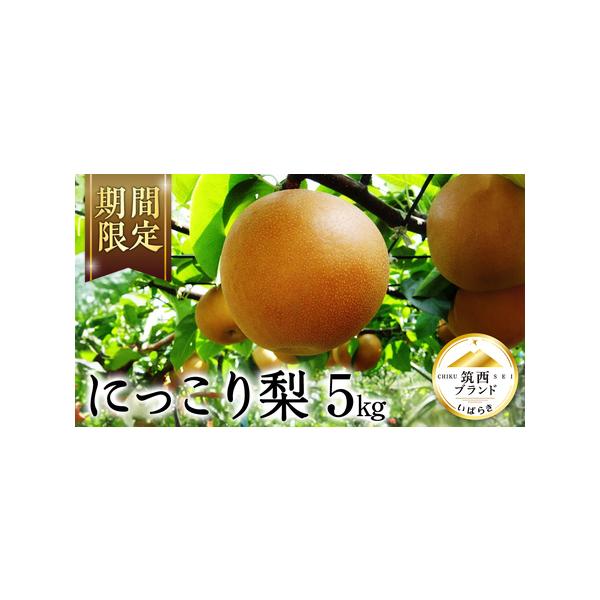 ■ 容量　1箱（6〜10玉）約5kg■ 配送について　9月下旬から10月上旬にかけてお届け　※天候や生育状況により時期が前後する場合がございます　タイプ：【常温】
