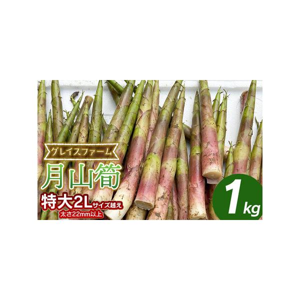 ■ 容量　月山筍　特大2Lサイズ（太さ22mm以上）　1kg（8〜20本程度）　※サイズ、本数のご指定は出来ません。　　【消費期限】収穫後4日以内　　【提供事業者】グレイスファーム■ 配送について　【申込期日】令和8年5月15日までご入金く...