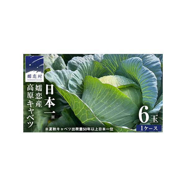 ■ 容量　嬬恋 高原 キャベツ 6玉 1ケース　（1玉約1.5〜2kg）■ 配送について　2026年7月中旬〜10月下旬にかけてお申込受付順に発送　※配送日の指定はお受けできかねます。予めご了承ください。　※天候やキャベツの生育状況により、...