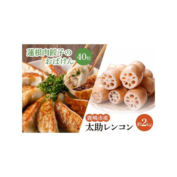 ■ 容量　・太助レンコン　約2kg（冷蔵便）　・蓮根肉餃子のおばけん　40粒（冷凍便）　■ 配送について　ご入金確認後、（2025年8月以降）順次発送いたします。　※れんこんは冷蔵便、餃子は冷凍便でお届けいたします。　発送期間：8月中旬〜3...