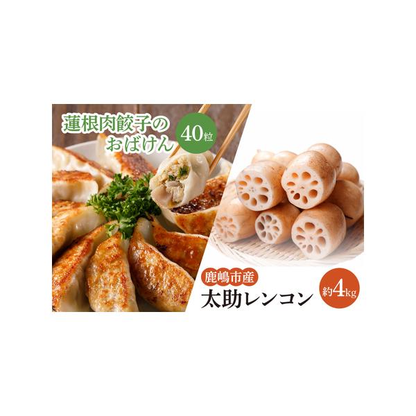 ■ 容量　・太助レンコン　約4kg（冷蔵便）　・蓮根肉餃子のおばけん　40粒（冷凍便）　■ 配送について　ご入金確認後、（2025年8月以降）順次発送いたします。　※れんこんは冷蔵便、餃子は冷凍便でお届けいたします。　発送期間：8月中旬〜3...