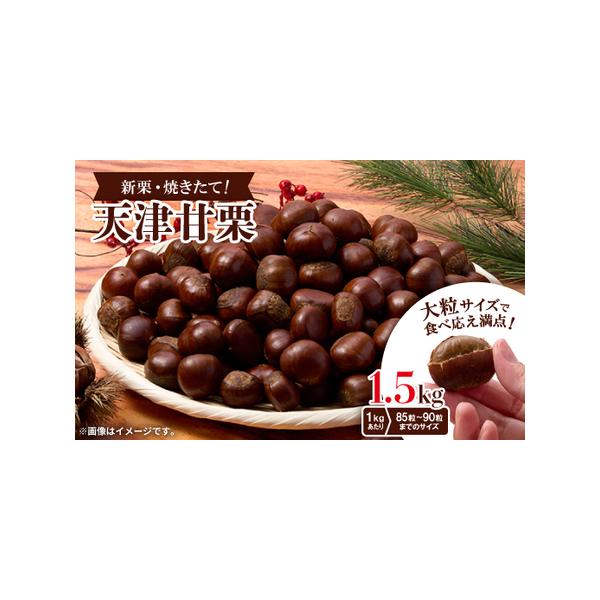 ■ 容量　※上記に記載■ 配送について　2026年1月より順次発送　タイプ：【常温】