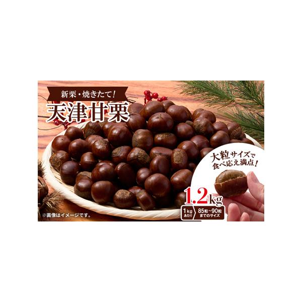 ■ 容量　※上記に記載■ 配送について　2026年1月より順次発送　タイプ：【常温】