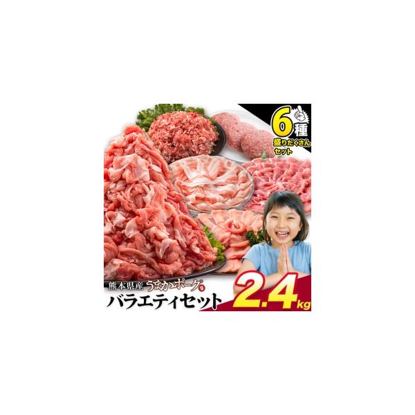 ふるさと納税 豚肉 バラエティセット 2.4kg 豚バラ 熊本県大津町