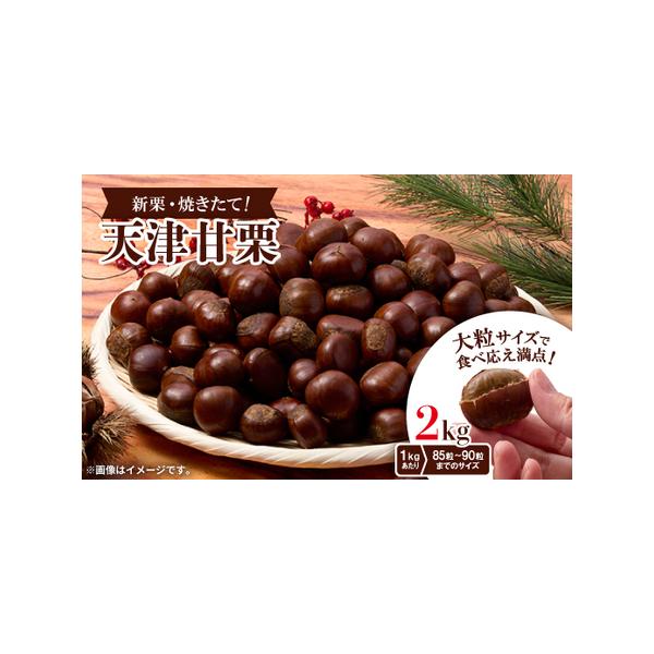 ■ 容量　※上記に記載■ 配送について　2026年1月より順次発送　タイプ：【常温】