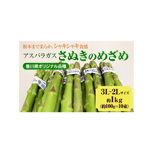 ■ 容量　約1kg　太目3L〜2Lサイズ（約100g×10束）　■ 配送について　2026年3月10日〜7月20日　　タイプ：【冷蔵】