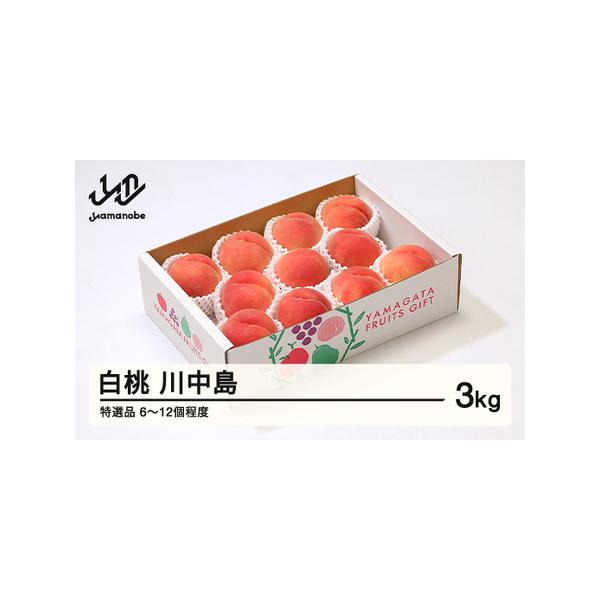 ■ 容量　川中島白桃 特選品 約3kg(6~12個程度)■ 配送について　2026年8月中旬~9月中旬頃　※発送時期は、例年の発送時期を記載しております。天候や収穫状況により変更になる場合があります。　タイプ：【冷蔵】