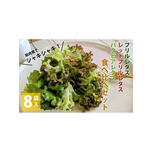 ■ 容量　フリルレタス（150〜200g）×4個、レッドフリルレタス（100〜110g）×2個、バタビアレタス（120〜150ｇ）×2個　※朝収穫したものを夕方に出荷致します。商品到着後は必ず段ボールから取出し、冷蔵庫の野菜室にて保管して下...