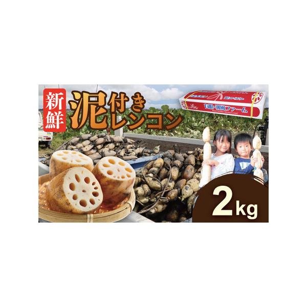 ■ 容量　レンコン：2kg　生もののため、お早めにお召し上がり下さい。■ 配送について　2025年9月中旬頃〜3月下旬まで申し込み順に発送予定！　（レンコンの生育や天候状況により発送が前後する場合がございますので、予めご了承ください。）　　...
