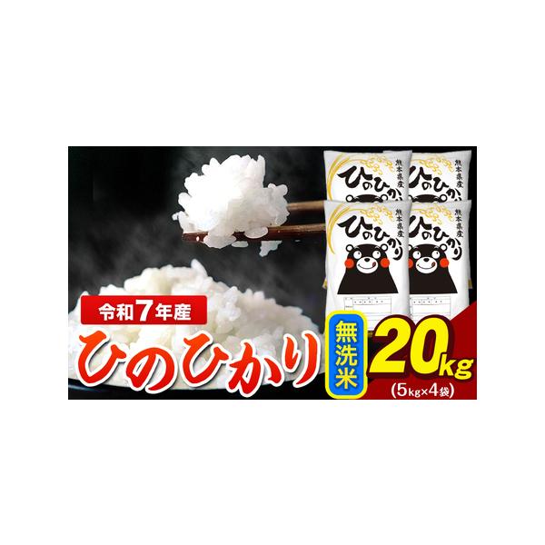 20kg 令和7年産　ひのひかり ふるさと納税 令和7年産 ひのひかり 無洗米 20kg 5kg×4袋 米 ブランド