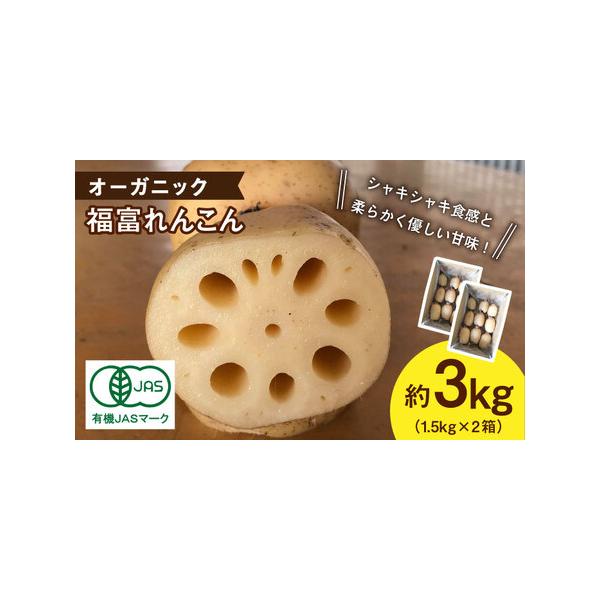 ■ 容量　3kg　　　【消費期限】　到着後はお早目にお召し上がりください。■ 配送について　　※年末発送は行っておりません。予めご了承ください。　※お申込み順に発送のため、お申込み状況により、発送までお時間を頂戴する場合がございます。　※発...