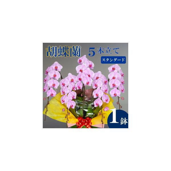 ■ 容量　胡蝶蘭:5本立て　■高さ:90cm〜100cm　■幅:70cm〜80cm　■重量:約6.5~9kg■ 配送について　入金確認から最短で1週間、最長で1ヶ月弱お時間をいただきます。　　※送料の都合により、北海道・東北全域・茨城県・栃...
