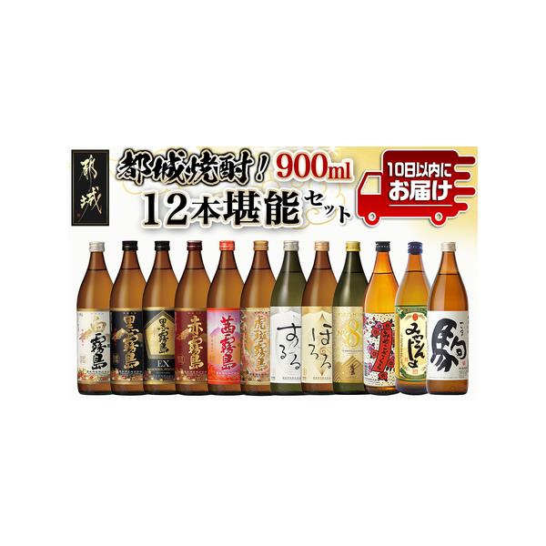 ふるさと納税 都城焼酎!12本堪能セット≪みやこんじょ特急便≫_AG-2201