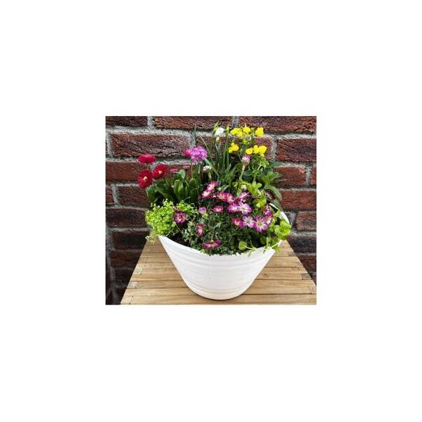 ■ 容量　※上記に記載■ 配送について　お申し込み後1〜2週間程度で順次発送予定　タイプ：【常温】