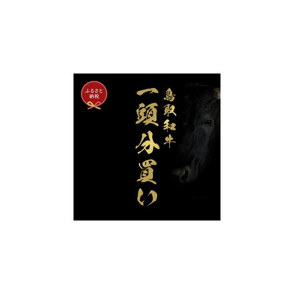 furunavi_1286785