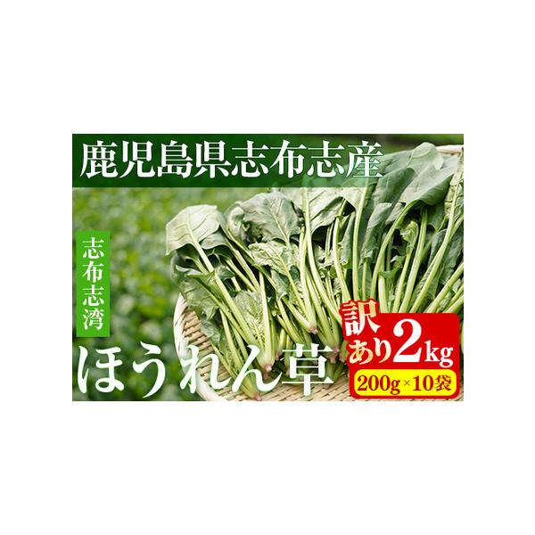 ■ 容量　志布志湾ほうれん草 訳あり品　計2kg(200g×10袋)■ 配送について　入金確認後、翌月末までに配送　　※お届けに関して　配送日の指定はできませんが、翌月末までに３日以上連続するご不在日がございましたら、そのお日にちは避けて配...