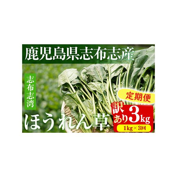 ■ 容量　志布志湾ほうれん草：1kg(200g×5袋)　上記3回■ 配送について　入金確認後、翌月中旬より毎月中旬に配送　例）12月にお申込み・ご入金完了の場合、1月、2月、3月の中旬に計3回お届け。　　※お届けに関して　配送日の指定はでき...