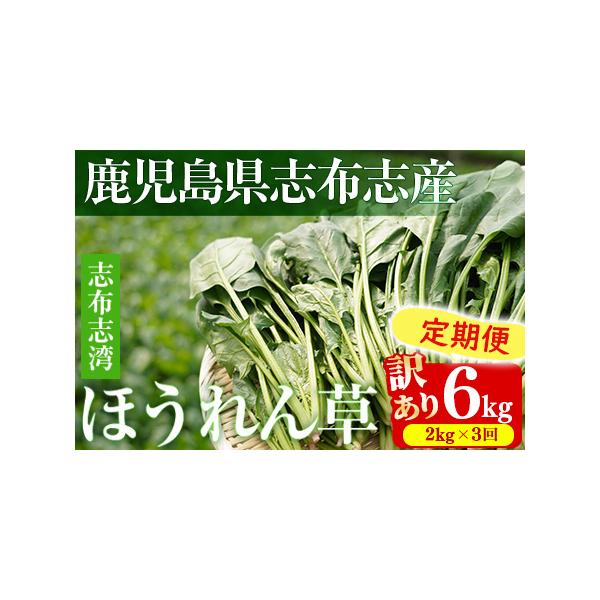 ■ 容量　志布志湾ほうれん草：2kg(200g×10袋)　上記3回■ 配送について　入金確認後、翌月中旬より毎月中旬に配送　例）12月にお申込み・ご入金完了の場合、1月、2月、3月の中旬に計3回お届け。　　※お届けに関して　配送日の指定はで...
