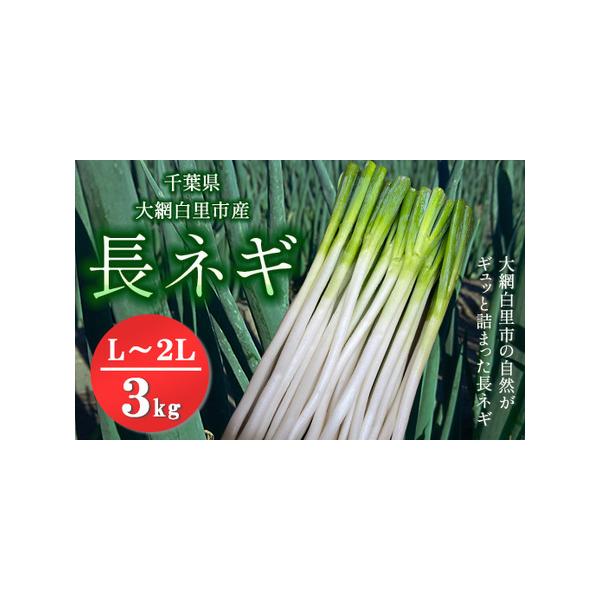 ■ 容量　長ネギ　L〜2Lサイズ　3kg（約18本〜27本）■ 配送について　2025年12月1日〜2026年2月28日　※2025年12月1日より順次発送開始　※収穫状況により前後することがございます。予めご了承ください。　※離島（沖縄含...
