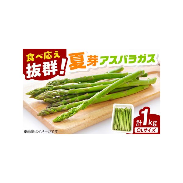 ■ 容量　アスパラガス：計1kg（約20本-33本入） 　※〇L（マルエル）サイズ　　（〇Lサイズとは、Lサイズと2Lサイズの間のサイズのことを指します。）　※無選別のためサイズは不揃いとなりますので、あらかじめご了承ください。■ 配送につ...