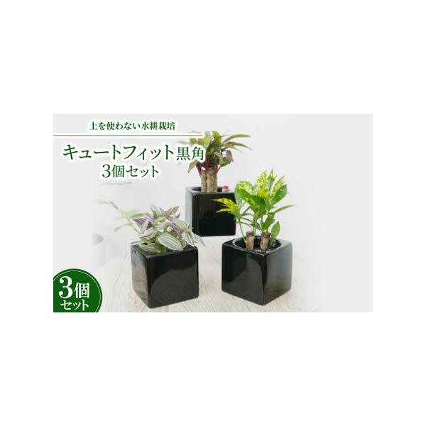 ■ 容量　※上記に記載■ 配送について　2026年1月より順次発送　タイプ：【常温】