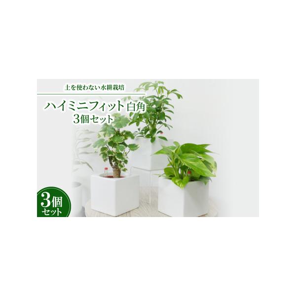 ■ 容量　※上記に記載■ 配送について　2026年1月より順次発送　タイプ：【常温】