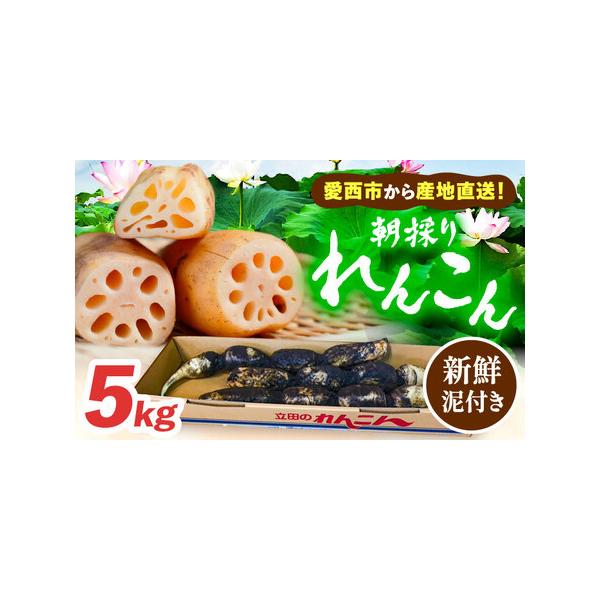 ■ 容量　土付きレンコン 5kg　化粧箱入り■ 配送について　毎年10月から翌年3月頃に順次発送いたします。　■期間中のお申し込み：ご入金確認後、2週間前後で順次発送。　■期間外のお申し込み：次期発送開始（10月頃）より順次発送。　　※お申...