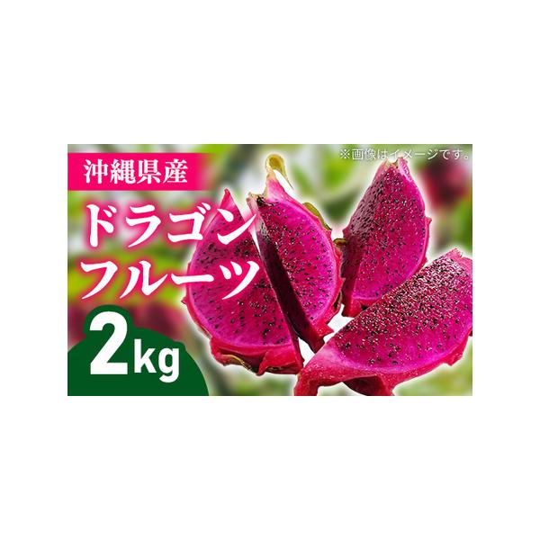 ■ 容量　完熟ドラゴンフルーツ(赤)　約2kg（3〜7玉）　※玉数の指定はできません。■ 配送について　2026年8月上旬から2026年11月末まで　　申込期間：〜2026年10月末まで　タイプ：【冷蔵】