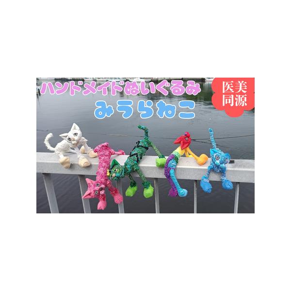 ふるさと納税 【 医美同源 】みうらねこ ぬいぐるみ（5種類のうち1匹