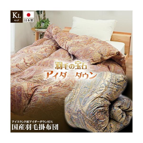 furunavi_1303091