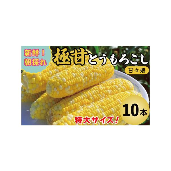■ 容量　１０本入■ 配送について　2026年6月上旬から下旬に順次発送　※天候の状況により、お届け時期が前後する場合がございます。　※こちらの返礼品は配送日付指定不可となっております。　タイプ：【冷蔵】