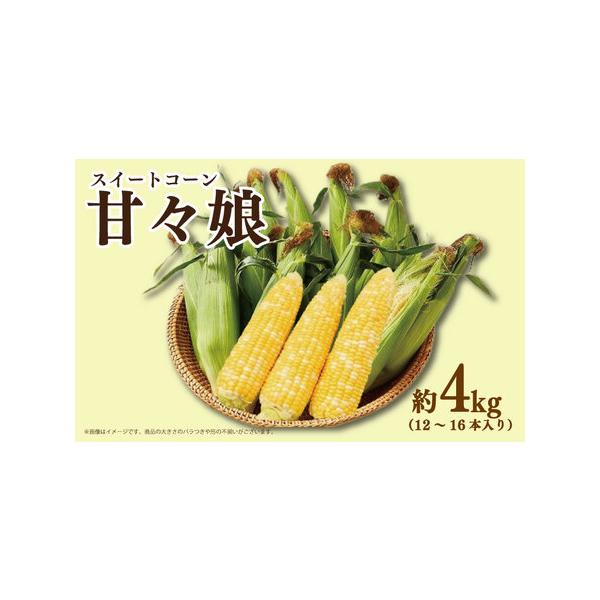 ■ 容量　12〜16本入り（4kg/箱）■ 配送について　2026年6月上旬〜6月下旬　※こちらの返礼品は配送日付指定不可となっております。　タイプ：【冷蔵】