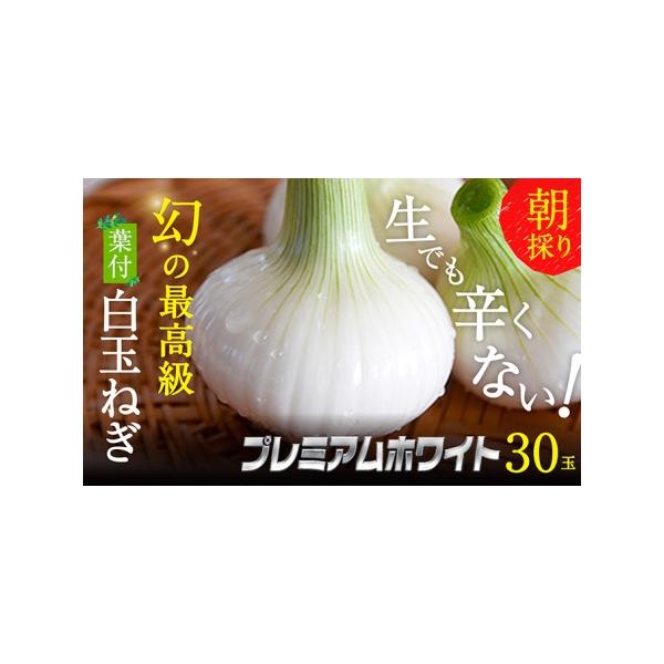 ■ 容量　浜松篠原産【葉付新白玉ねぎ】プレミアムホワイト30玉【A級品L玉】　■ 配送について　2026年1月中旬〜2026年1月下旬　　タイプ：【常温】