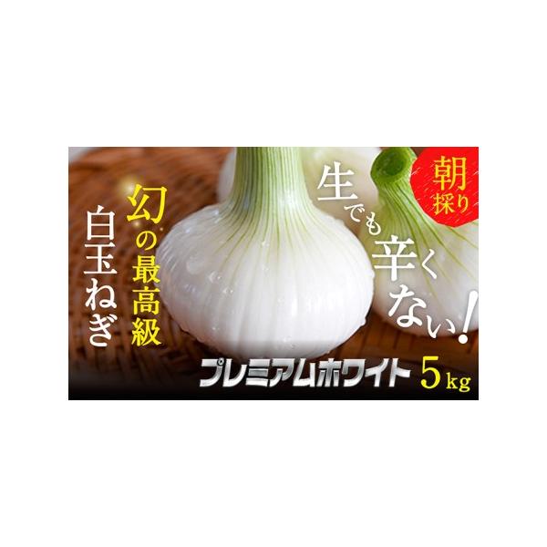 ■ 容量　浜松篠原産新白玉ねぎプレミアムホワイト5キロ【無選別品】　■ 配送について　2026年1月中旬〜2026年2月中旬　　タイプ：【常温】