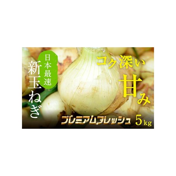 ■ 容量　浜松篠原産新玉ねぎプレミアムフレッシュ5キロ【無選別品】　■ 配送について　2026年1月中旬〜2026年3月下旬　　タイプ：【常温】