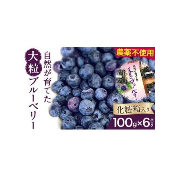 ■ 容量　100g×6パック（化粧箱入り）■ 配送について　2026年6月上旬‐2026年9月上旬より出荷　タイプ：【冷蔵】