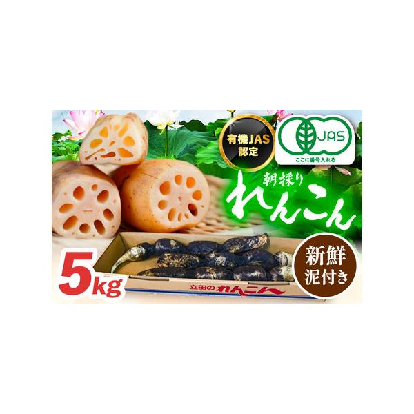 ■ 容量　■有機JAS認証　土付きレンコン 5kg■ 配送について　毎年10月から翌年3月頃に順次発送いたします。　■期間中のお申し込み：ご入金確認後、2週間前後で順次発送。　■期間外のお申し込み：次期発送開始（10月頃）より順次発送。　　...
