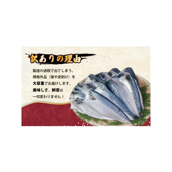 furunavi_1309068_3_d_20250828211102